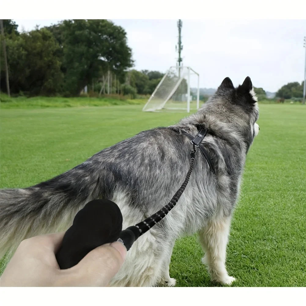 Reflective Dog Leash With Comfortable Padded Handle - Double Heavy Duty Traction Rope For Strong Dogs - Enhance Safety And Control